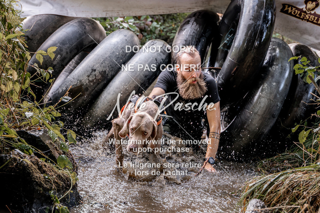 nelerasche_Hunsrück2026_Sa1400-1500_287 | nelerasche