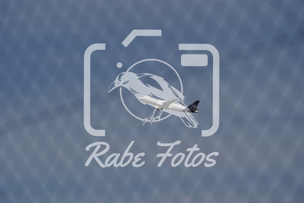 DSC08736 | rabefotos