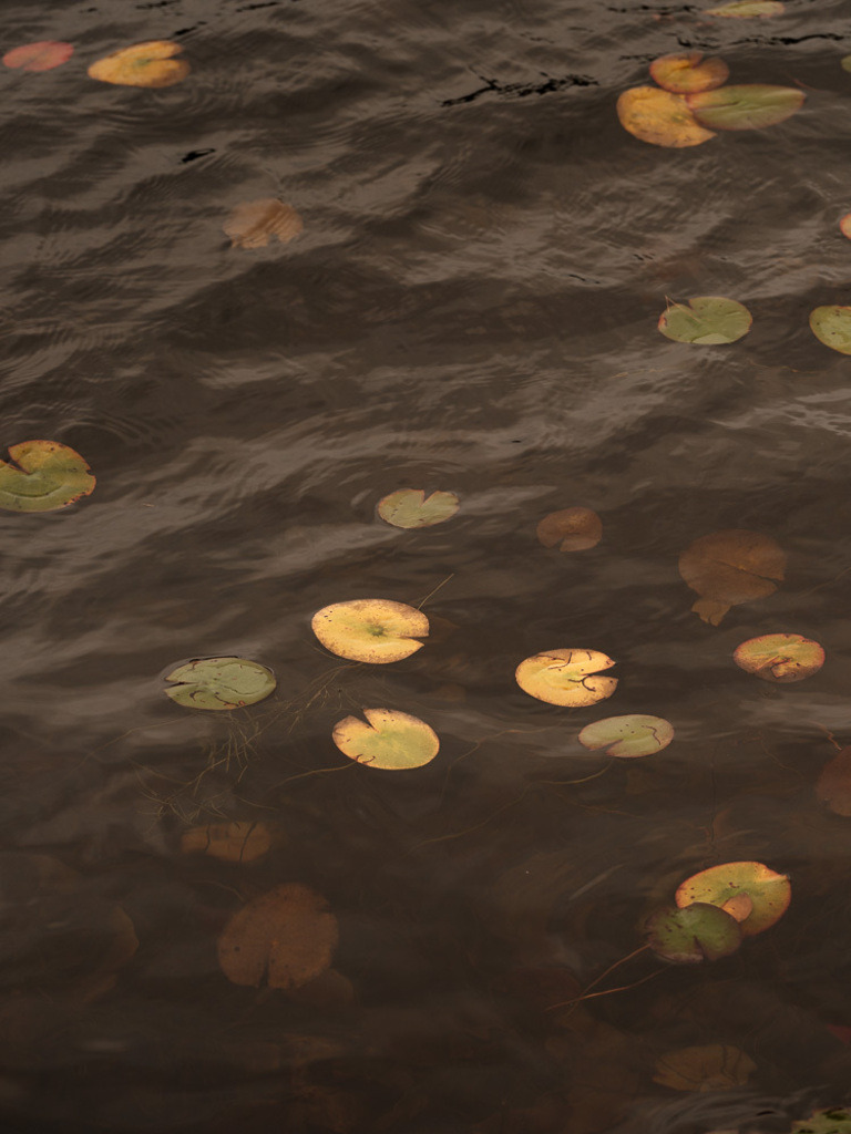 SilvanoPedrett_preview_Wasser-29 | silvanopedrett - Realisiert mit Pictrs.com