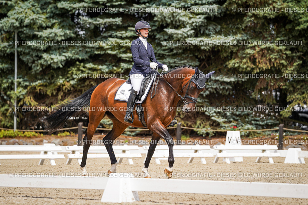 DSC02180 | Pferdegrafie