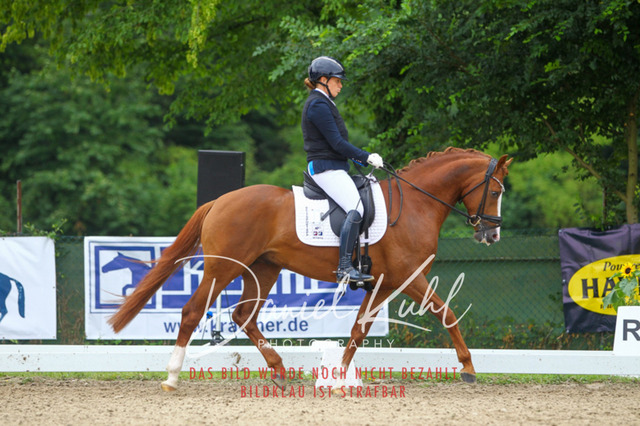 DKP40394 | Turniersportfotografie; Pferdefotografie; Dressurfotografie