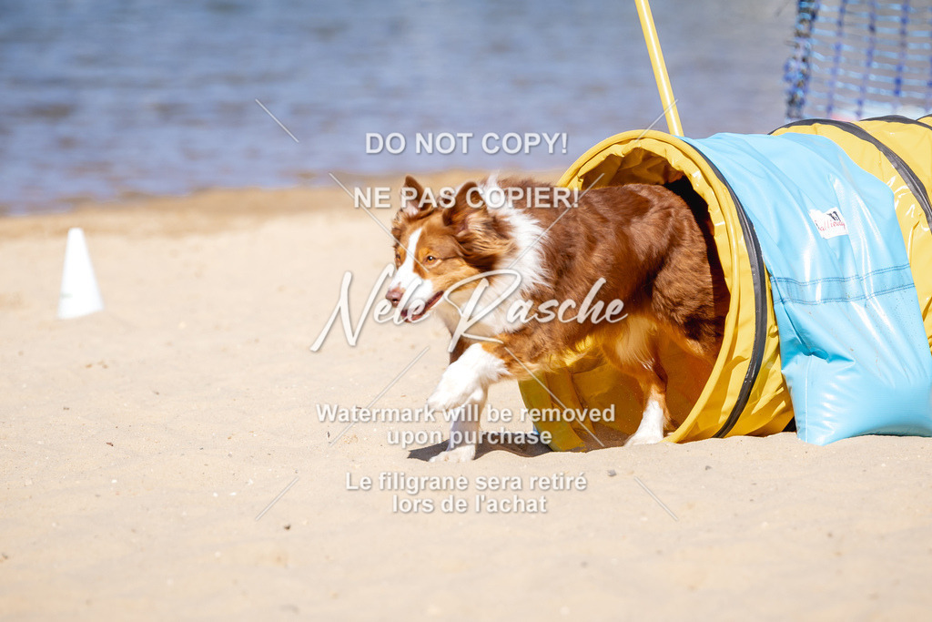 NR__0814 | nelerasche