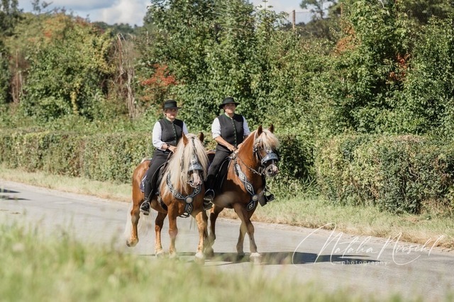 7V6A1985 | natalia-nirschl-photography