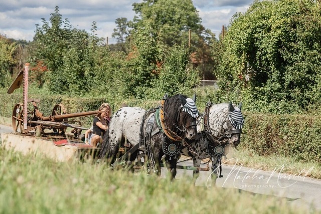 7V6A1774 | natalia-nirschl-photography