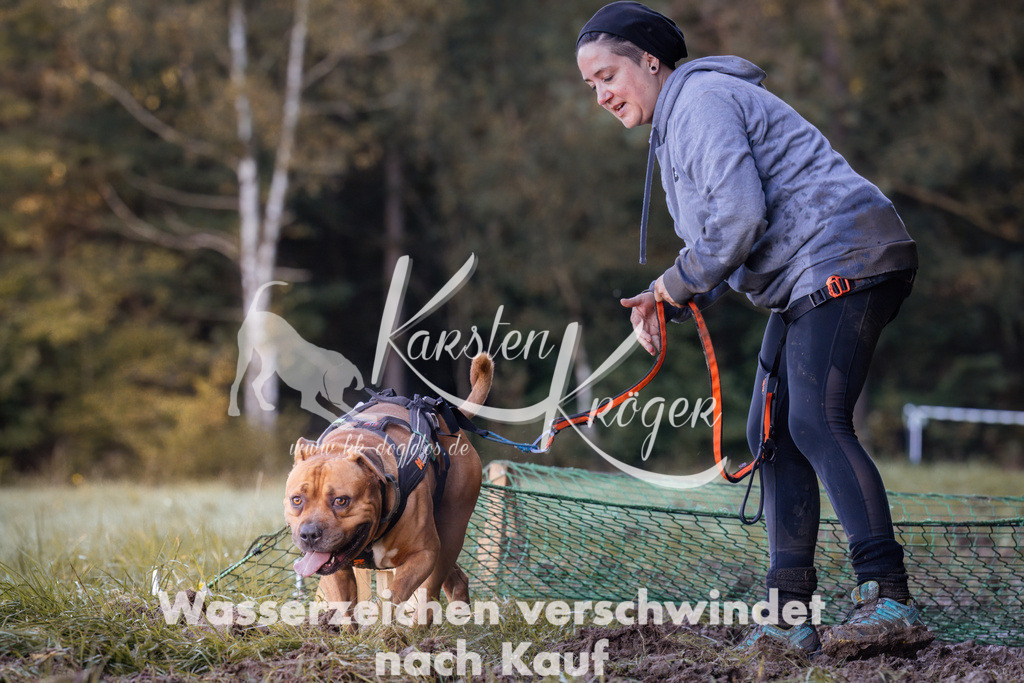 1013_ZZ90679 | kk-dogfotos