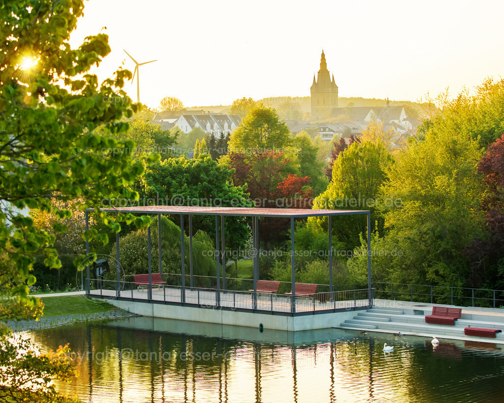 Skyline von Brilon vom Kurpark aus fotografiert. | Brilon Skyline aus dem Kurpark aufgenommen an einem Sommerabend. Im Vordergrund ist der große Ententeich zu sehen, im Hintergrund die Propsteikirche. Goldene Stunde. 