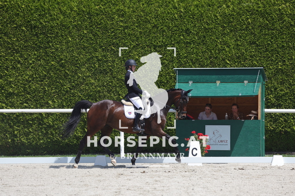 0P6A6173 | Willkommen bei Brunnmayr - Design & Fotografie – Ihrem Spezialisten für Reitturniere und Pferdeveranstaltungen in Oberösterreich, Salzburg und Bayern! Seit über 17 Jahren sind wir leidenschaftlich dabei.
