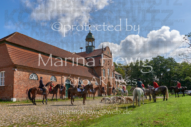 DSC01372_Marina Hewig | Fotografie, FotoArt, PferdesportArt, Pferdesportfotografie, Landschaftsfotografie, Reisefotografie, Reise, Pferde - Realisiert mit Pictrs.com