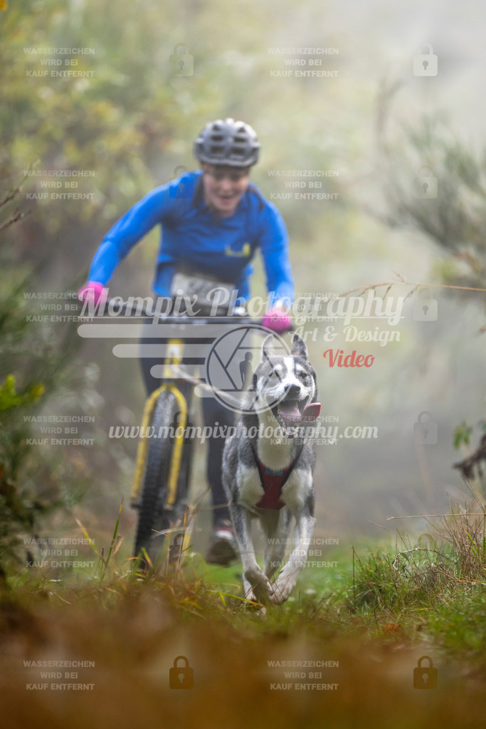 MompixPhotography_20TSB_E4_DS1-28 | PayLife