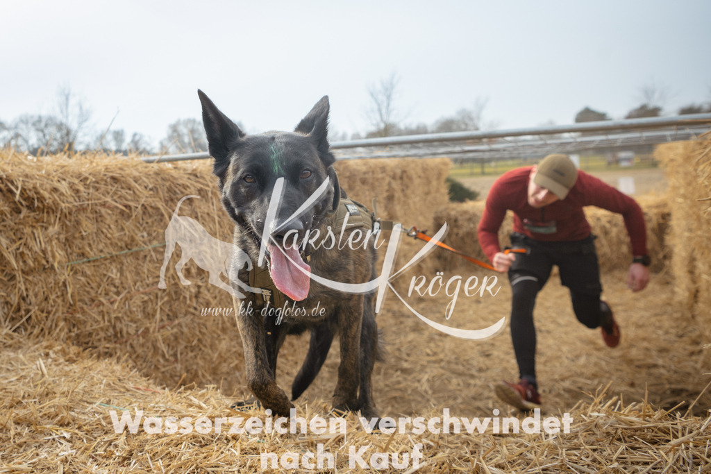1039_ZZ97156 | kk-dogfotos