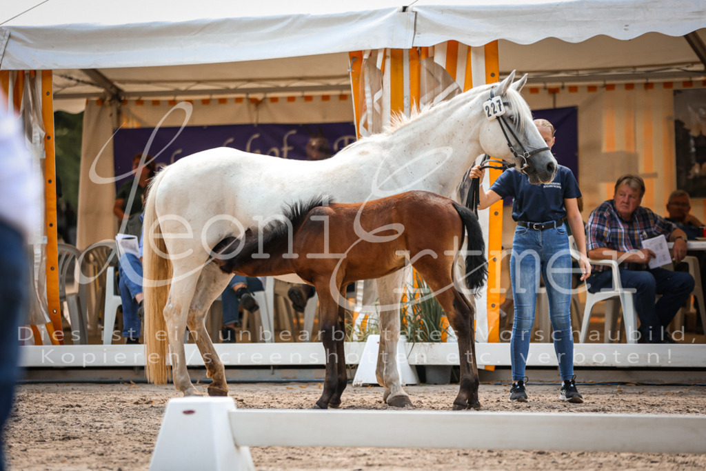 03.DoAB00039 | Leoni Ertmer Photography - Realisiert mit Pictrs.com