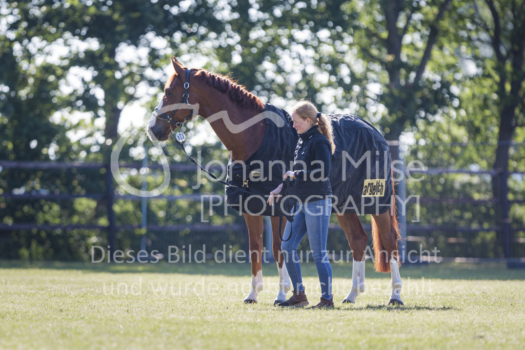 220603_CSI-Wohlde_Chillen-3 | CSI** Wohlde
Chill Out Area
03.06.2022