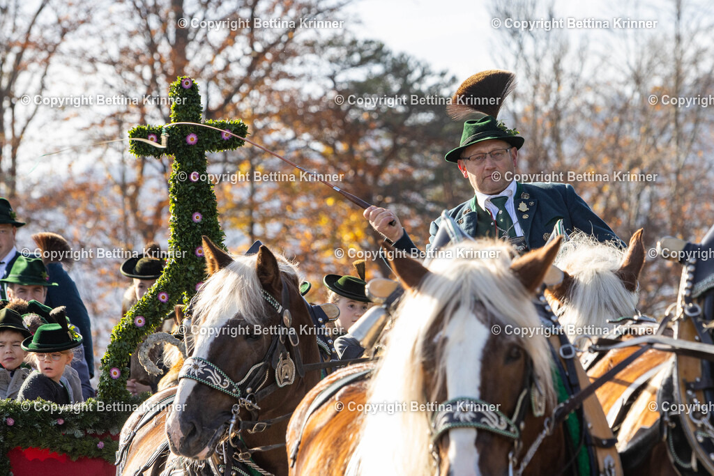 LBT24-1183 | foto-bettina-krinner - Realisiert mit Pictrs.com