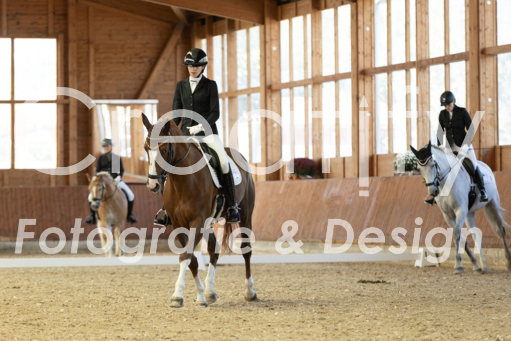 IMG_5247 | Creatify Fotografie