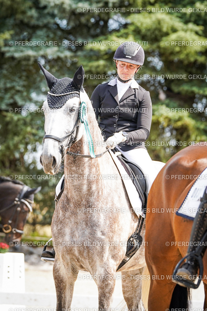 DSC02276 | Pferdegrafie