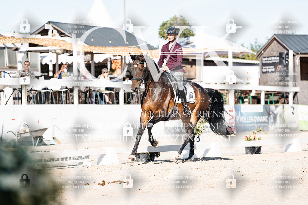 CK907562 | Turnierfotografie Pferdefotografie Trier Rheinland-Pfalz Pferdesport Reitsport Tierfotografie Sportfotografie Pferdevideo Pferdevideografie Equestrianvideography equestrianphotography  - Realisiert mit Pictrs.com