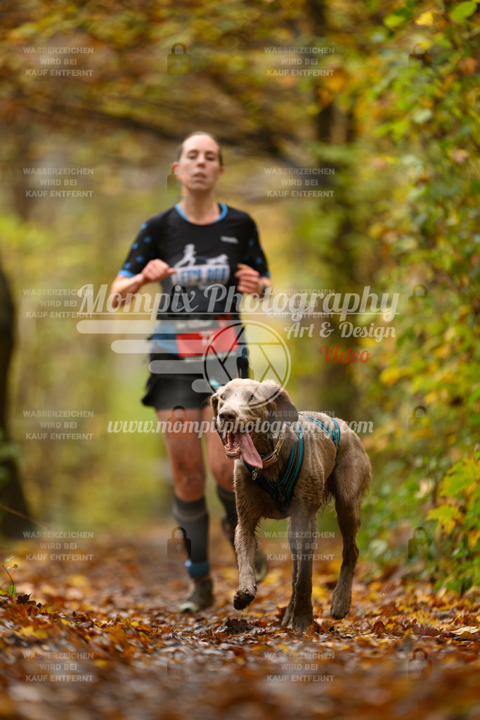 MompixPhotography_CD7S_DI_CCL-40 | mompixphotography