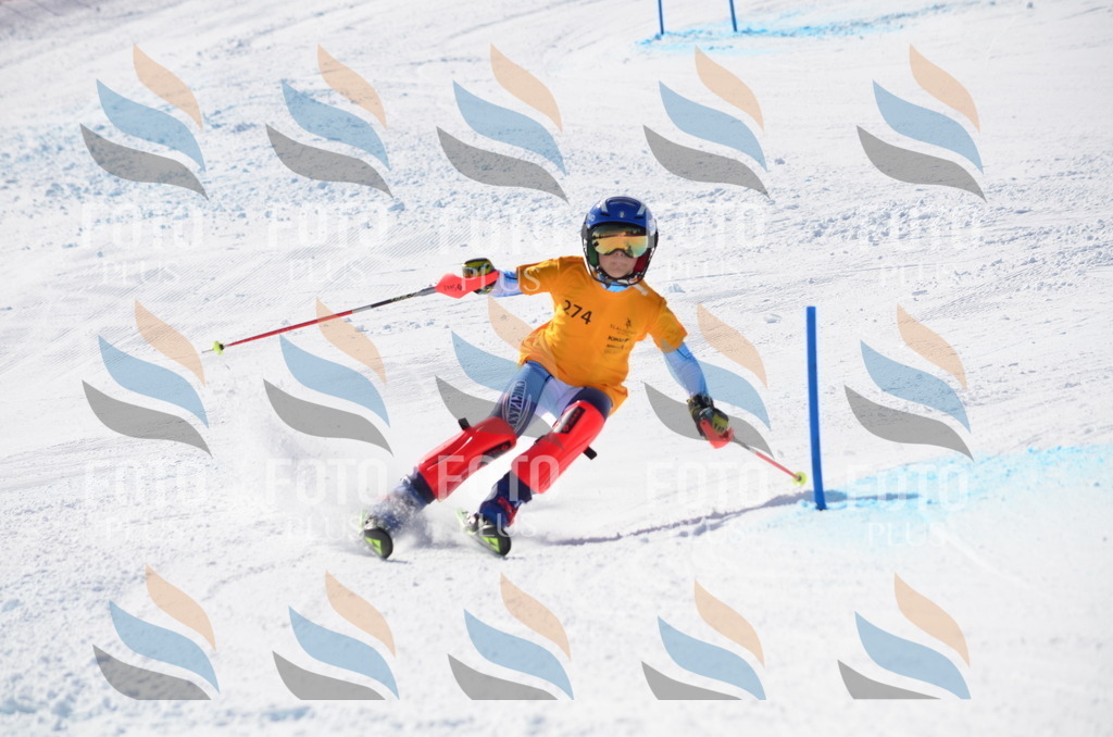 C8607 | holidayphoto