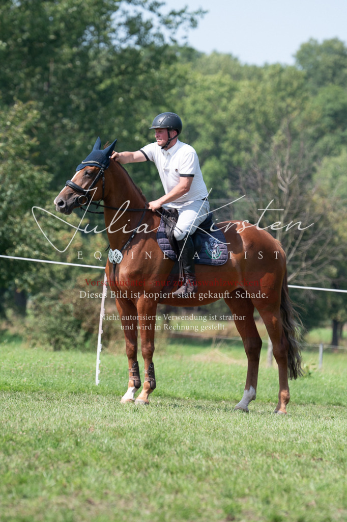 DSC_0623 | Pferde- und Turnierfotografie in Westsachsen. Pferdeportraits, Auftragszeichnungen und intuitive Kunst.