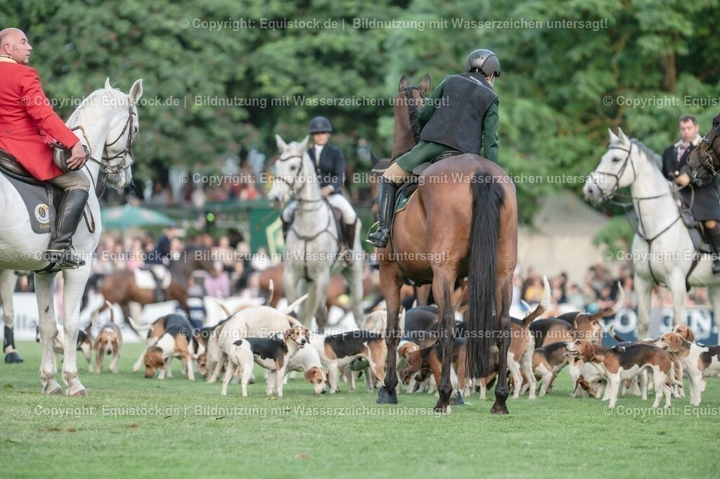 20230526_Pferdenacht_0579 | equistock