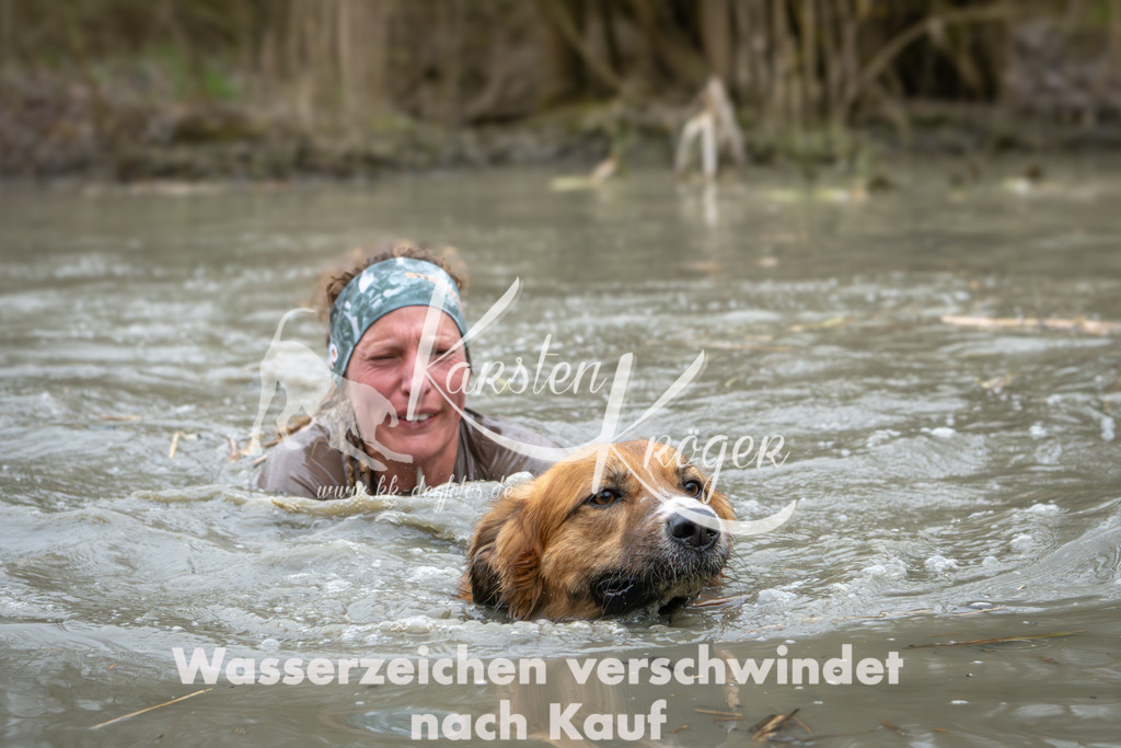1330_ZZ99681 | kk-dogfotos