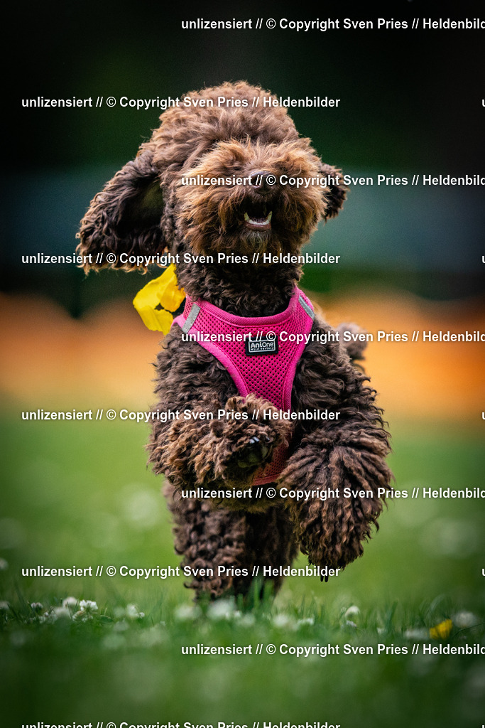 Sven Pries | 2025-05-29 - Pudelrennen KA-Durlach - Realisiert mit Pictrs.com