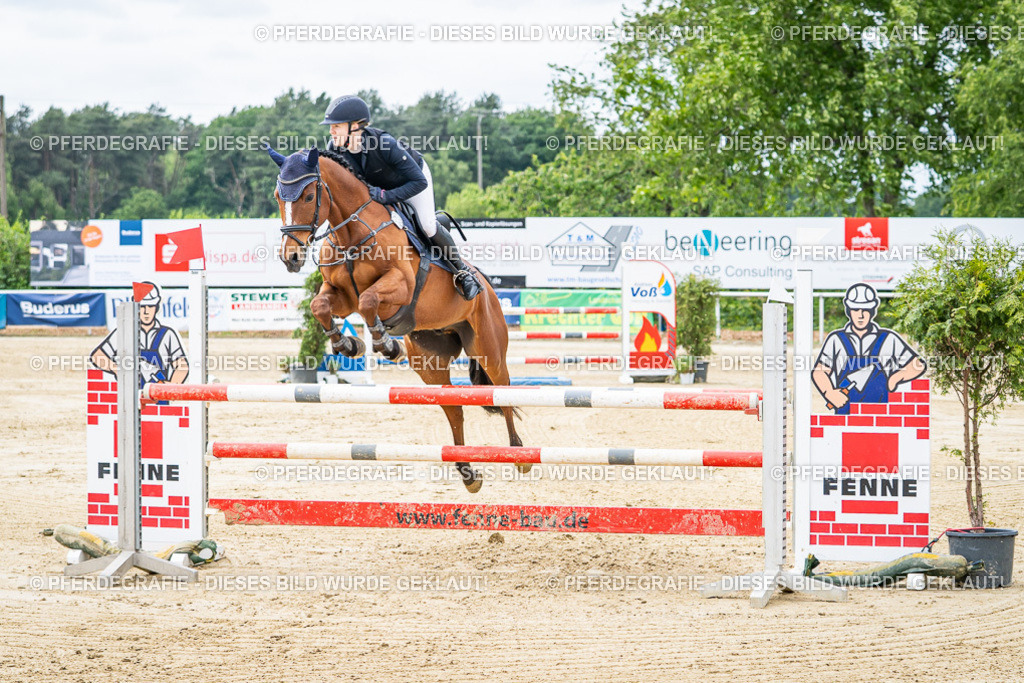 DSC04907 | Pferdegrafie