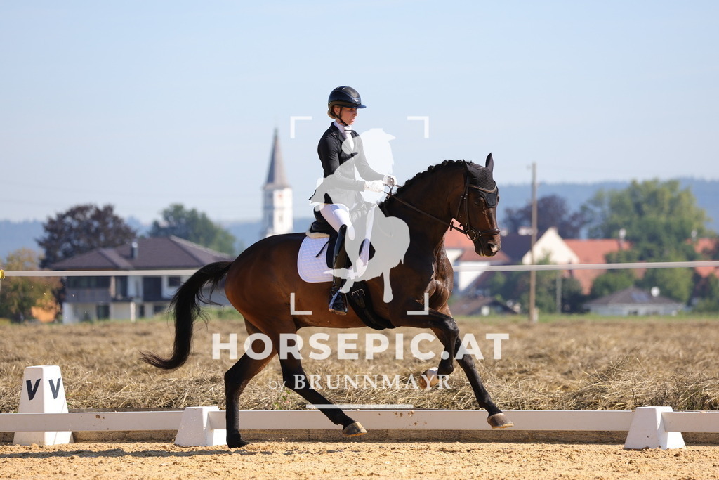0P6A7303 | Willkommen bei Brunnmayr - Design & Fotografie – Ihrem Spezialisten für Reitturniere und Pferdeveranstaltungen in Oberösterreich, Salzburg und Bayern! Seit über 17 Jahren sind wir leidenschaftlich dabei.