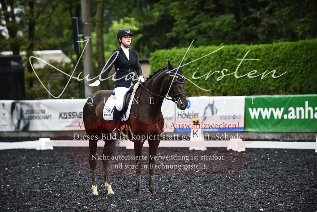 DSC_2999 | Pferde- und Turnierfotografie in Westsachsen. Pferdeportraits, Auftragszeichnungen und intuitive Kunst.