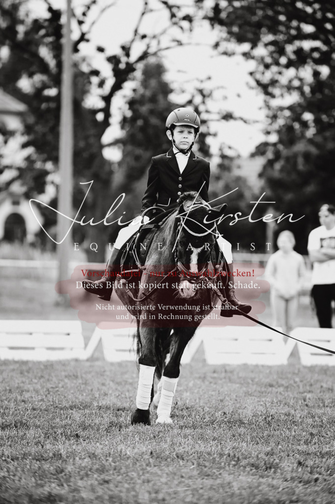 DSC_5321 | Pferde- und Turnierfotografie in Westsachsen. Pferdeportraits, Auftragszeichnungen und intuitive Kunst.