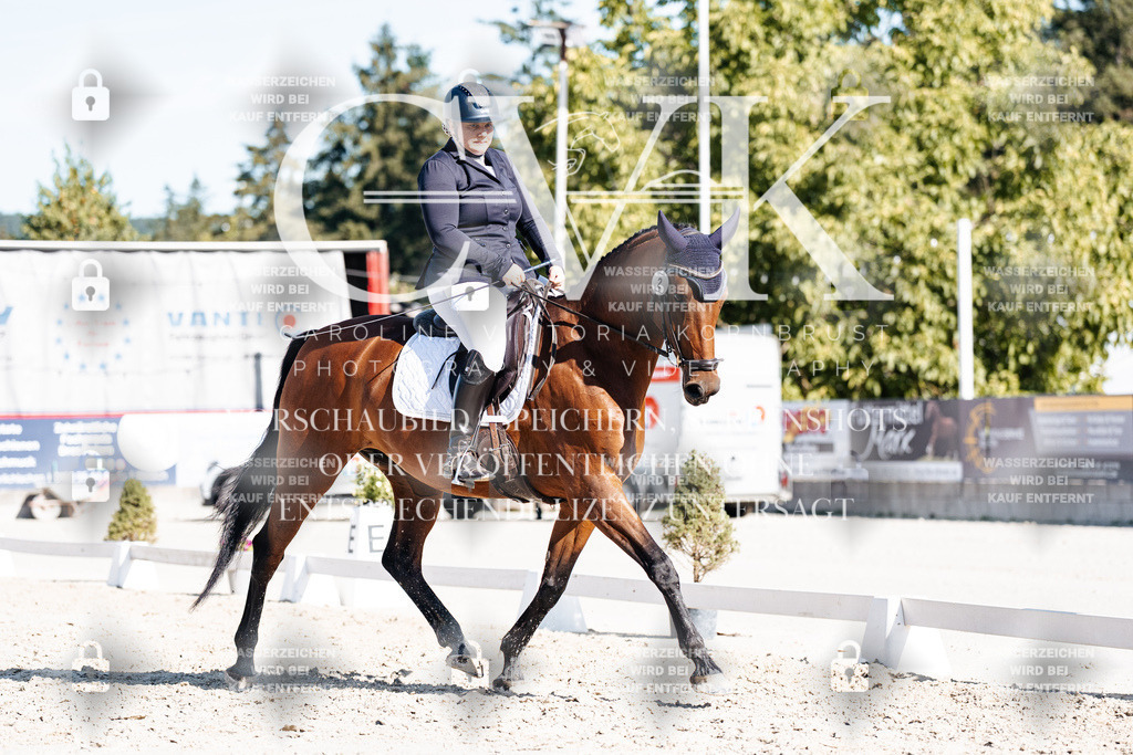 CK908021 | Turnierfotografie Pferdefotografie Trier Rheinland-Pfalz Pferdesport Reitsport Tierfotografie Sportfotografie Pferdevideo Pferdevideografie Equestrianvideography equestrianphotography  - Realisiert mit Pictrs.com