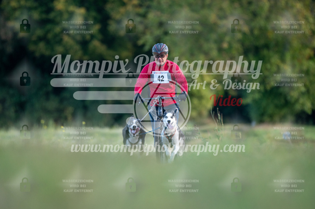 CDLBDB_15_10_2023_Dimanche-91 | mompixphotography