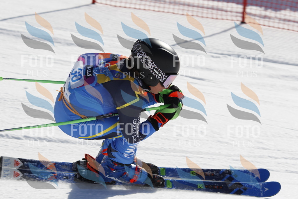 _U3G9043 | holidayphoto