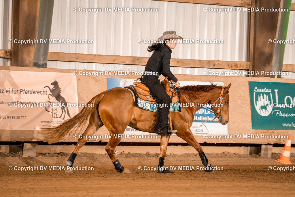 BA301219 | dv-media-shop - Realisiert mit Pictrs.com