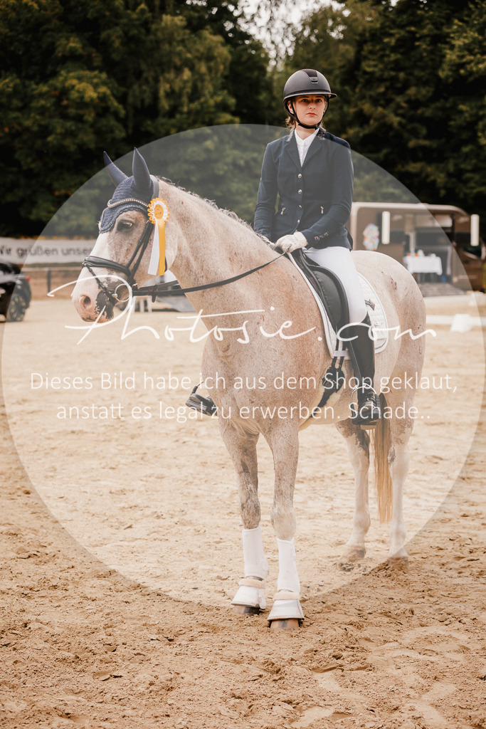 3I6A6399 | Stimmungsvolle Portraits und Reitsportfotografie im Ruhrgebiet und im Münsterland.

Pferdefotografie, Hundefotografie, Tierfotografie, Reportagen, Portraits von Tier und Mensch, Turnierfotografie in Bochum, Recklinghausen, Marl, Haltern am See, Dülmen.. - Realisiert mit Pictrs.com