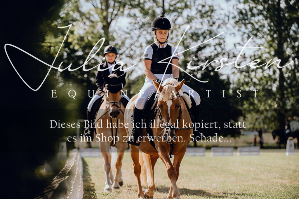 DSC_7124 | Pferde- und Turnierfotografie in Westsachsen. Pferdeportraits, Auftragszeichnungen und intuitive Kunst.
