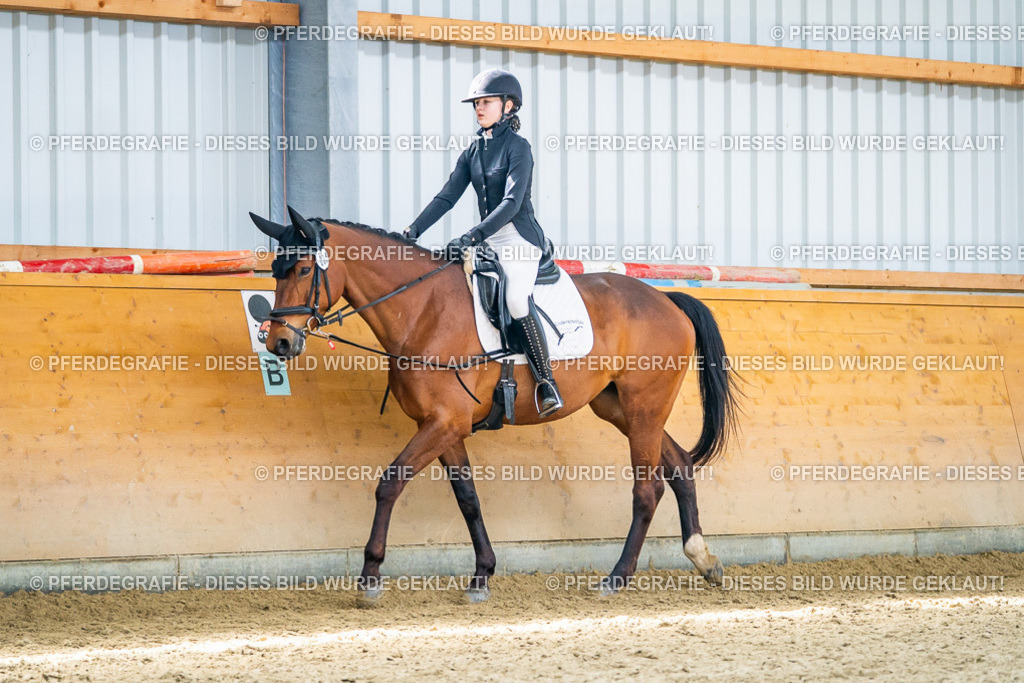 DSC03680 | Pferdegrafie