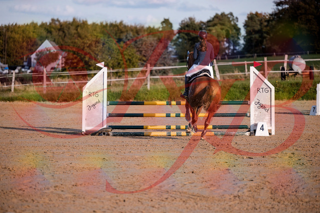 2026_10_03_Siefer-Hof_171217_Z81_09368075 | Professionelle Reitsport-, Turnier- und Eventfotografie von Robert Broda. Galerien mit ausgewählten und bearbeiteten Bildern direkt online ansehen und bestellen.