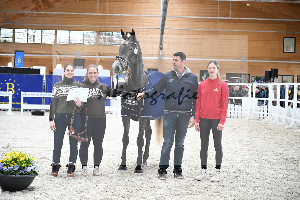 Kat-Nr. 5 Geyers Larimar v. Cizero Z_Geyer_5251516 | hf-fotografie - Realisiert mit Pictrs.com