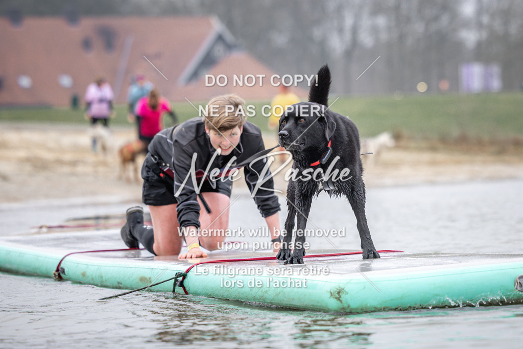 nelerasche_Hulsbeek_Sa1030-1100_169 | nelerasche