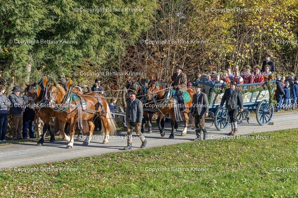 LBT25-483 | foto-bettina-krinner - Realisiert mit Pictrs.com