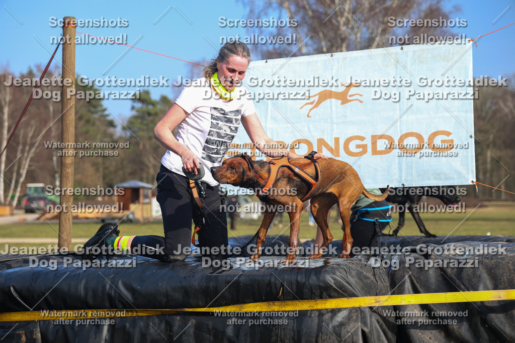 Dog Paparazzi - Strongdog North Mrz26-3402 | Dog Paparazzi Jeanette Grottendiek Fotografie & Videografie - Realisiert mit Pictrs.com