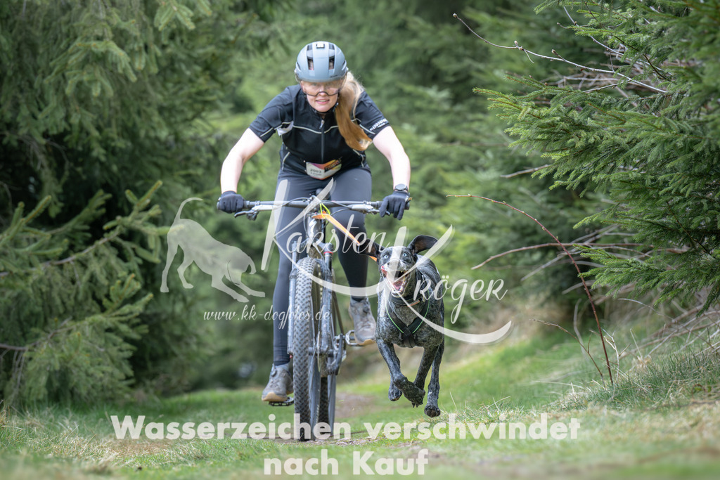 1310_ZZ93829 | kk-dogfotos