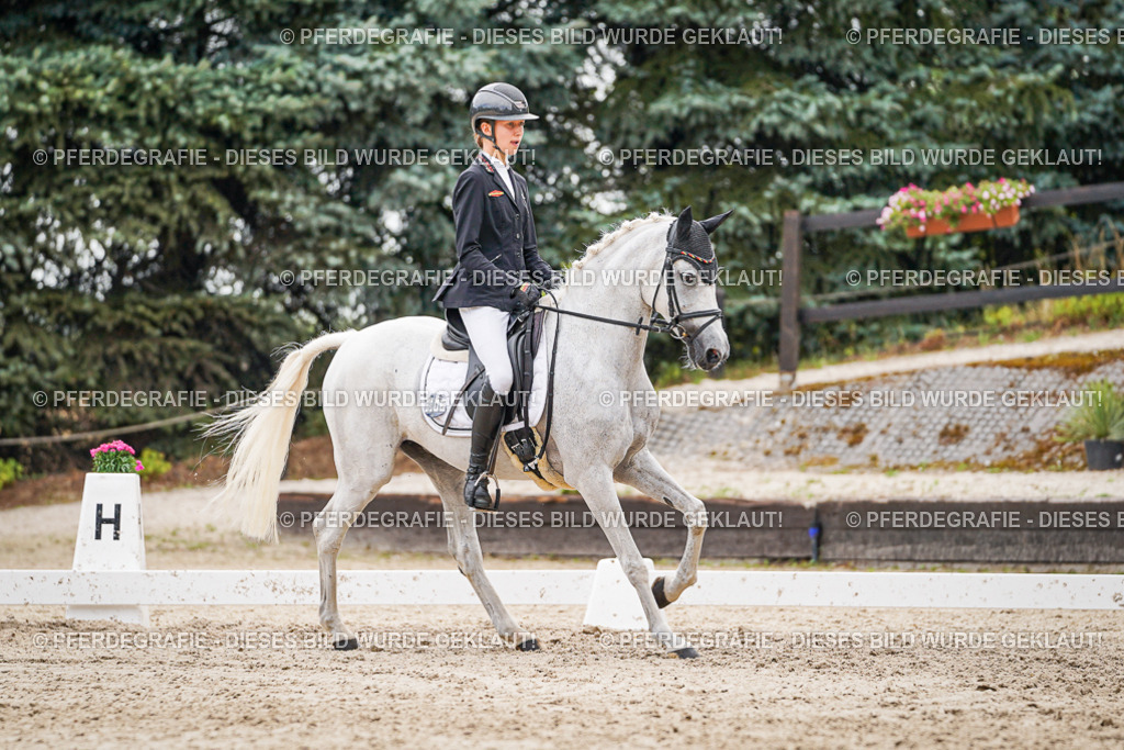 DSC02152 | Pferdegrafie