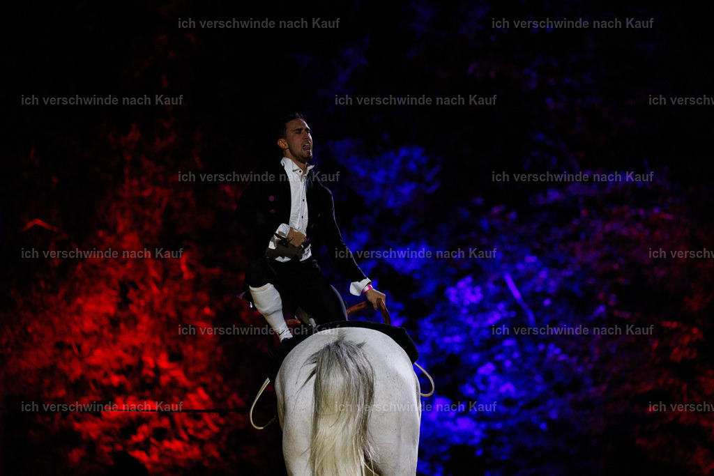 FHClassics-201 | working equitationturnier fotograf videograf stoibphotography marixx film working equitation deutschland reitsport turnierfotografie eventfotografie equestrian events