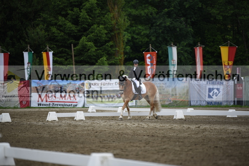 DSC_7962 | equestrian-live-com
