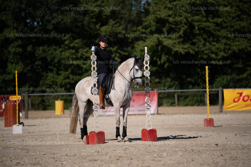 WS_ST_68_stoibphotography_SO12004 | working equitationturnier fotograf videograf stoibphotography marixx film working equitation deutschland reitsport turnierfotografie eventfotografie equestrian events