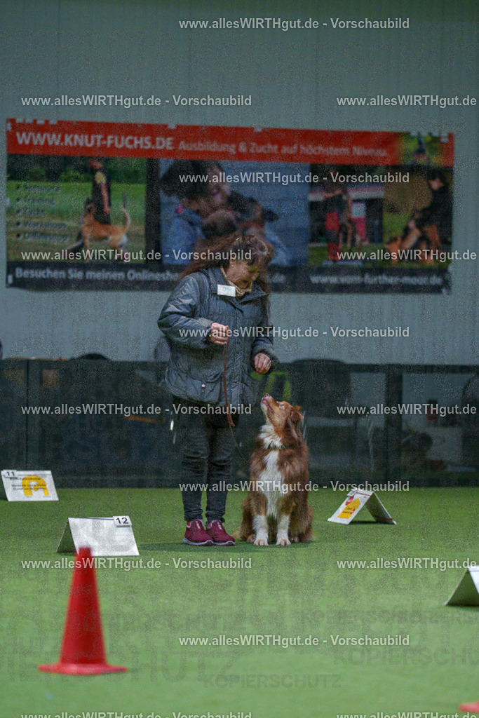 7R501193 | Professionelle Tierfotografie in Mönchengladbach von Daniel Wirth (allesWIRTHgut). Liebevolle & natürliche Bilder von Hunden & Katzen für unvergessliche Erinnerungen.