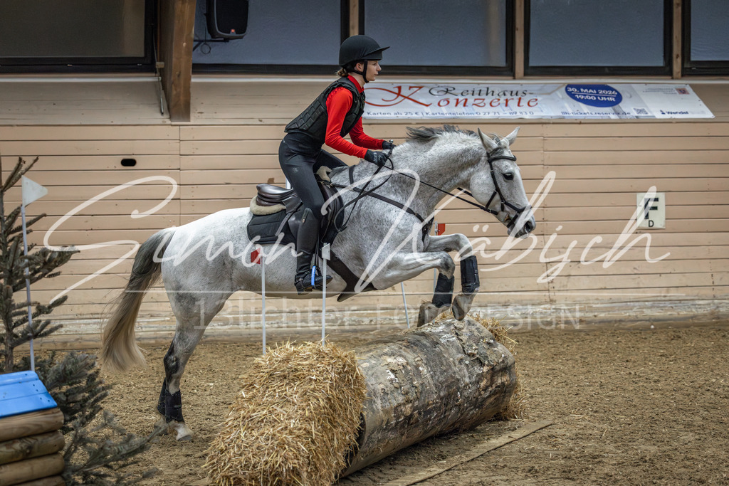 20260222-_3LI0865 | Tierfotografie Pferde, Hunde, Katzen, Haustiere.
Turnierfotografie Reitturniere, Reiten, Springreiten, Dressur in Hanau, dem Main-Kinzig-Kreis und dem Rhein-Main- Gebiet um Frankfurt