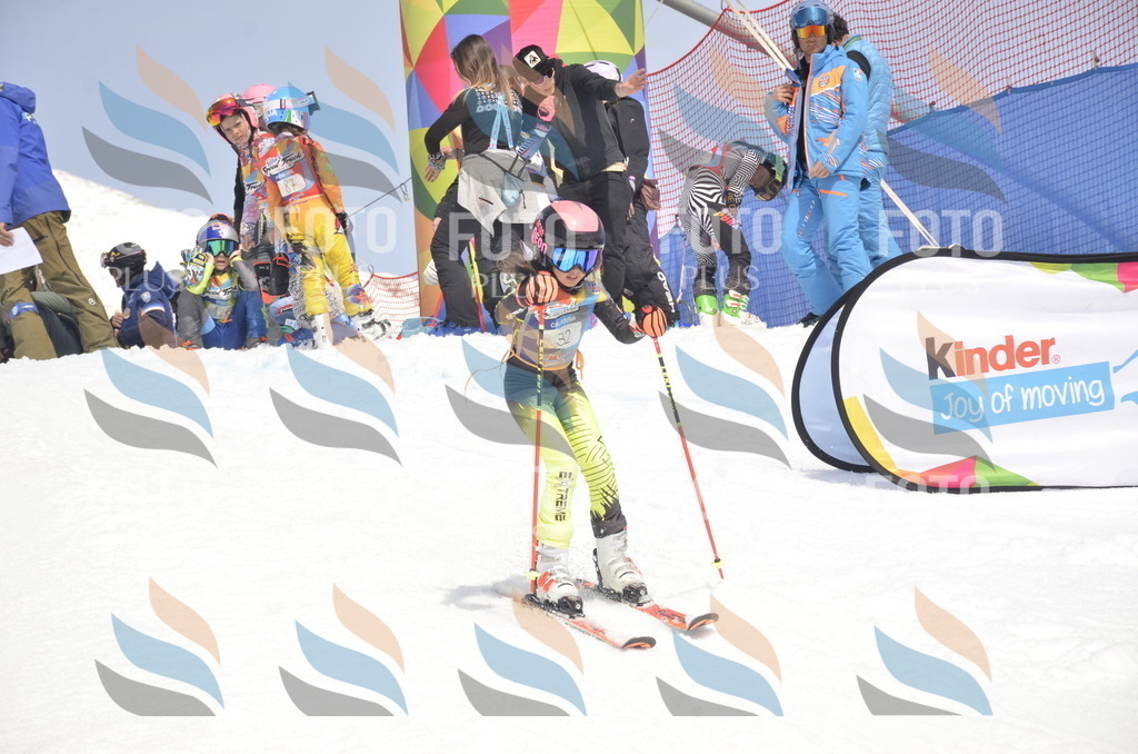 _ELE8936 | holidayphoto